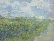 Vincent Van Gogh Green Wheat Fields (nn04) Germany oil painting artist